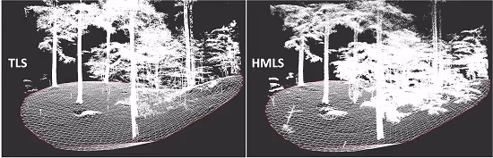 Forest Inventory with Terrestrial LiDAR: A Comparison of Static and Hand-Held Mobile Laser Scanning